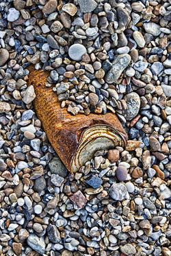 _MG_5629_edited-1