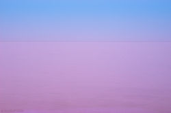 _MG_5650_edited-1