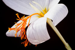 _MG_0875_edited-1