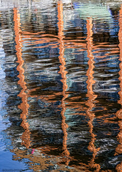_MG_5568_edited-1