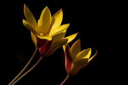 IMG_2089_LRPS