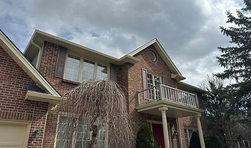 EaveSafe Gutter Protection photo 4