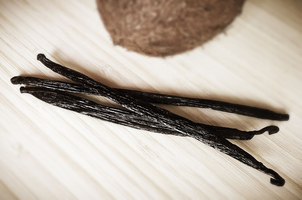 20170622_124207941_iOS_edited (1).jpg