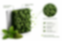 ChatGPT Image 29 พ.ค. 2569 22_07_45.png