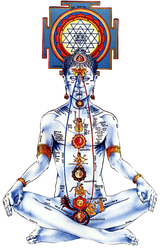 chakras.gif