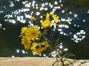 C'è bisogno di silenzio