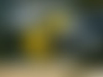 C'è bisogno di silenzio