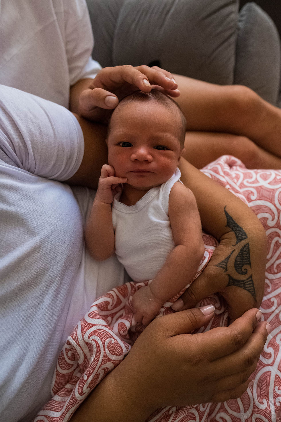 Brisbane Newborn Photos