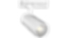 BJ31-WHTC30C023P