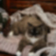PhotoRoom_20231124_180909.JPG