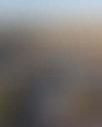 The Two Fastest-Growing Types Of Built-For-Rent, And The Metro Markets That Love Them 