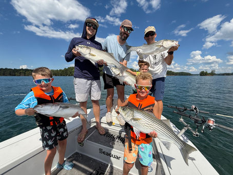 August 3, 2025 Lake Lanier Striper Fishing Report