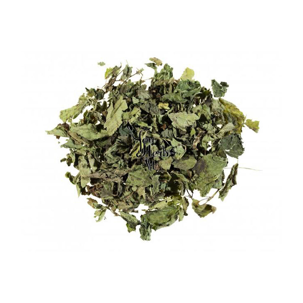 Organic Lemon Balm Tea