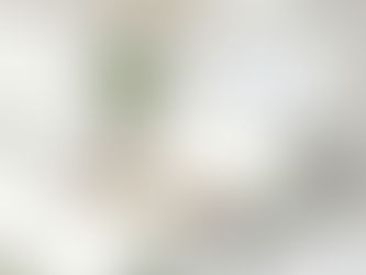 Why E-Design Services Might Be the Perfect Fit for You