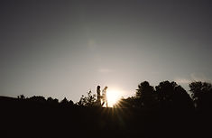Dayna_Peter_Bodenham_Wedding_Tease-170_0170.jpg