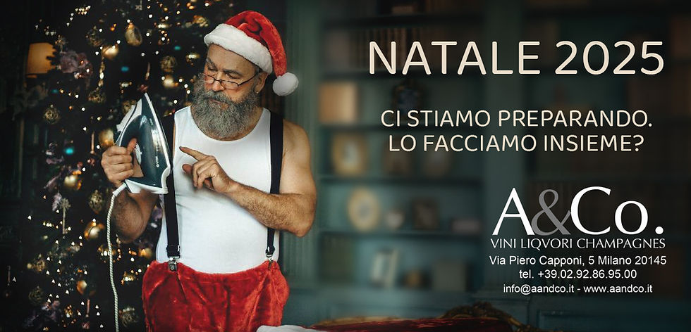 Natale ferro da stiro 2025.jpg