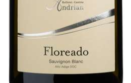 ANDRIAN CANTINE DI TERLANO 