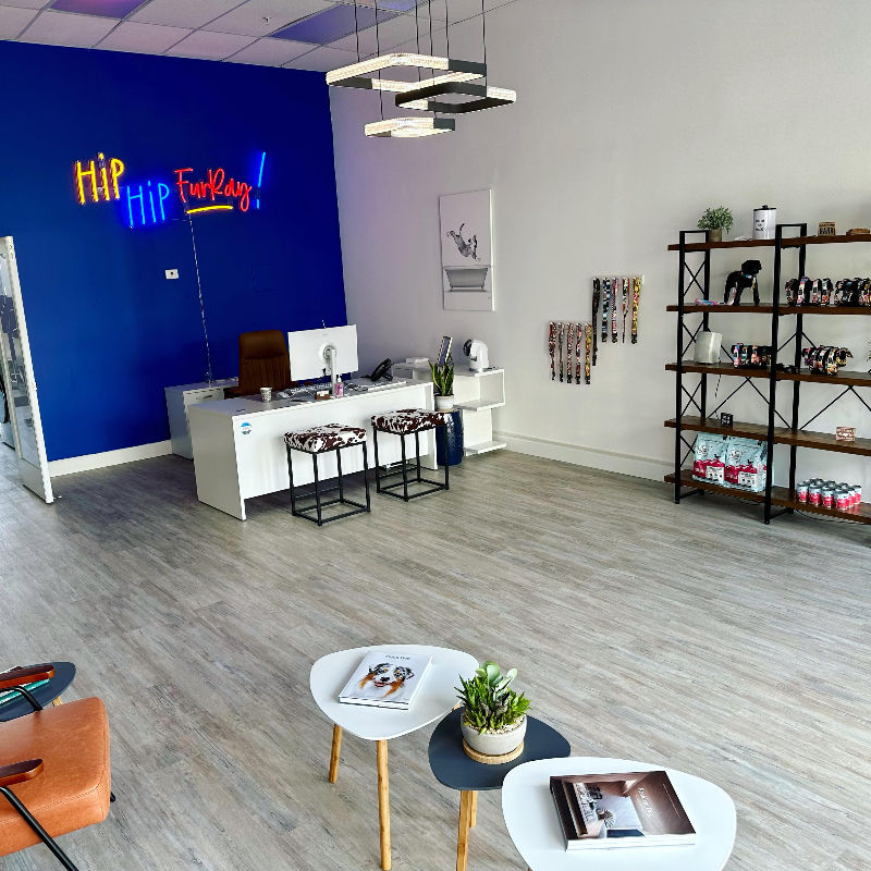 A sleek, modern, pet grooming salon.