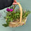 Thumbnail: Mixed Plant Basket