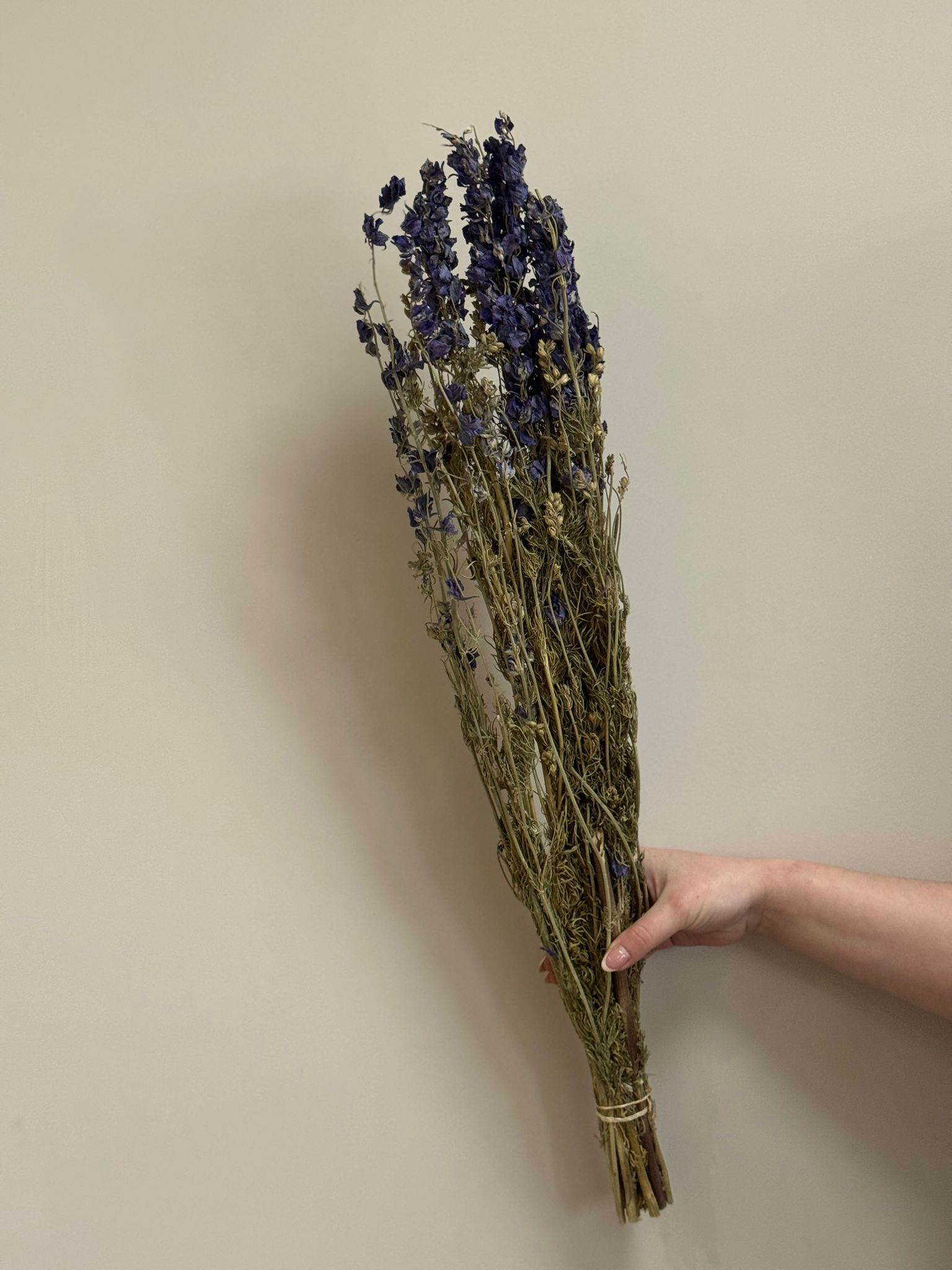 Dried Sapphire Blue Delphinium