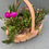 Thumbnail: Mixed Plant Basket
