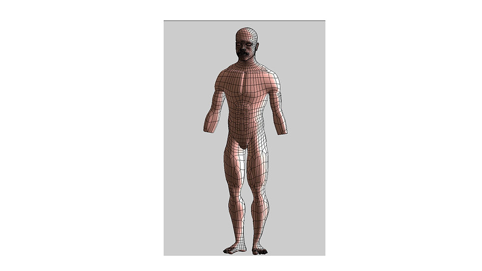 Human 3D Model/Modelo 3D Humano