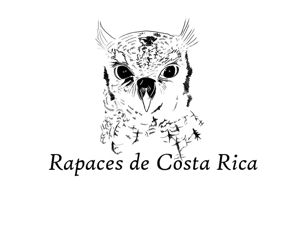 Rapaces de Costa Rica