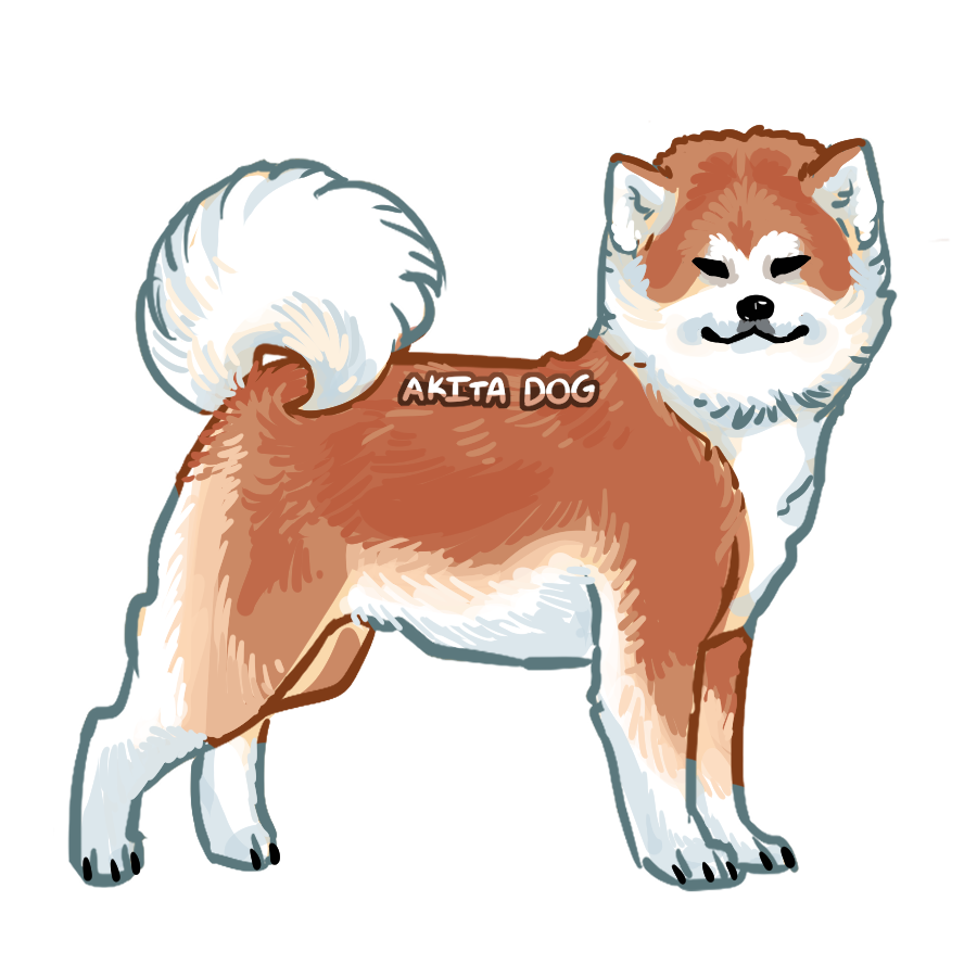 akita dog