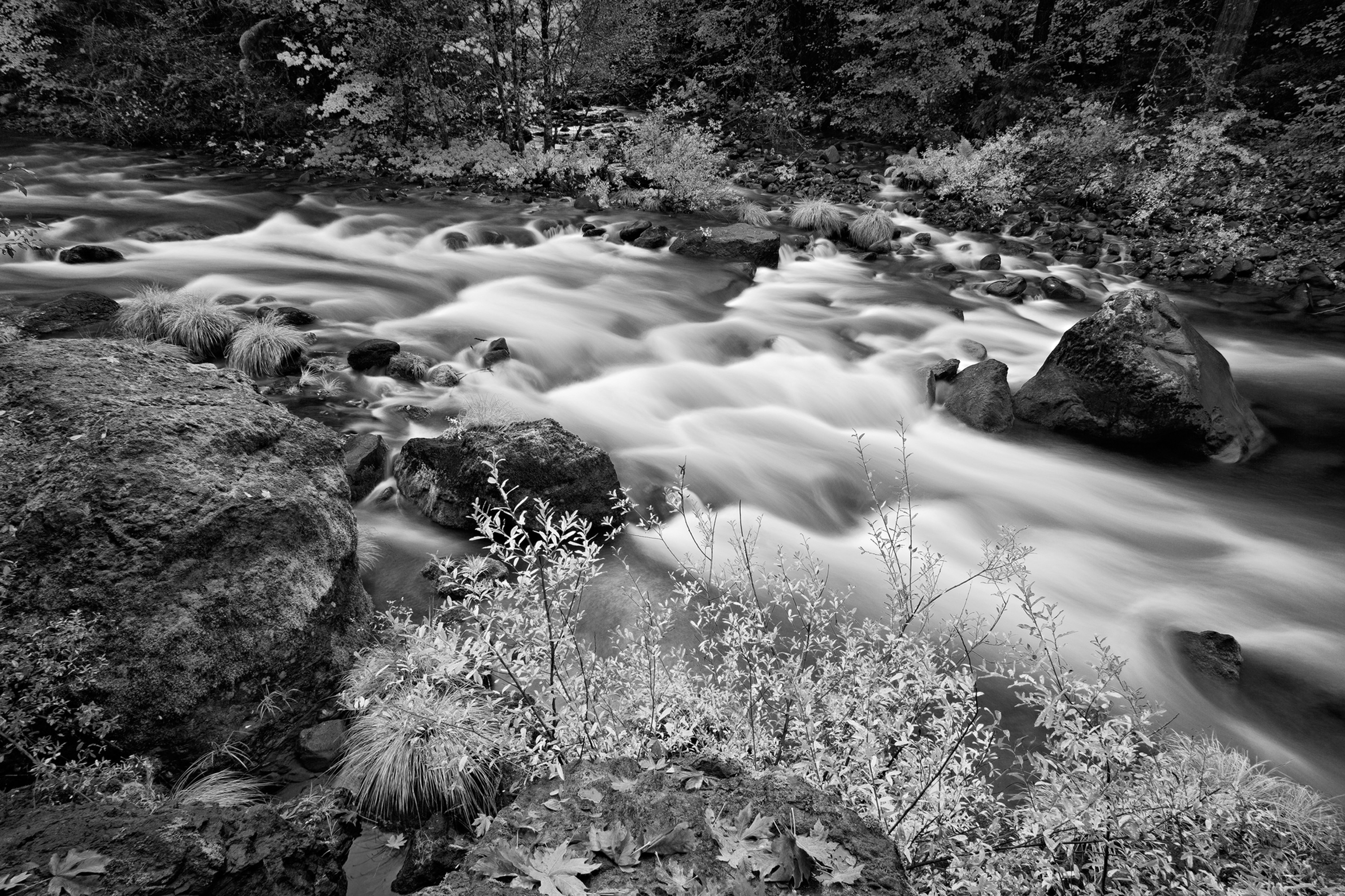 0020 - Whispers of the McKenzie – Oregon