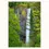 Thumbnail: Image: 05377, Matted Photo Print