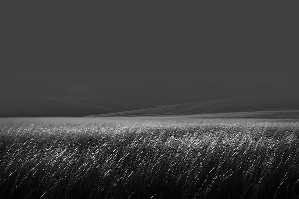 homepage background.webp