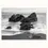 Thumbnail: Image: 10035, Matted Photo Print