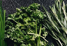 herbs.jpeg