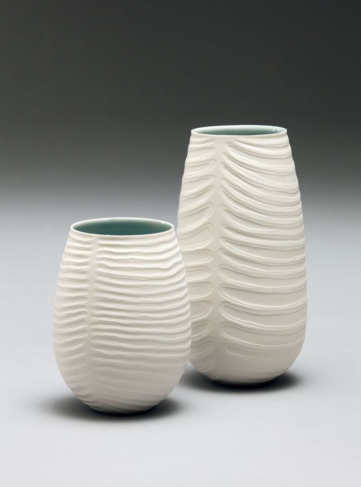 Spinal series