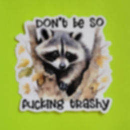 Don't Be So Fucking Trashy Racoon Matte vinyl sticker