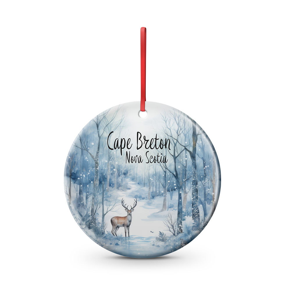 Cape Breton Winter Forest 4