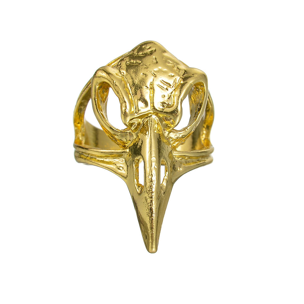 Miniaturebillede: New Design Skull Crow Skull Ring Woodpecker Bird Men's Ring Punk Stylish Jewelry