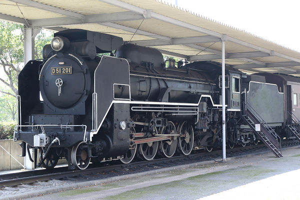 D51 201