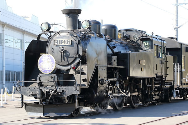 C11 207