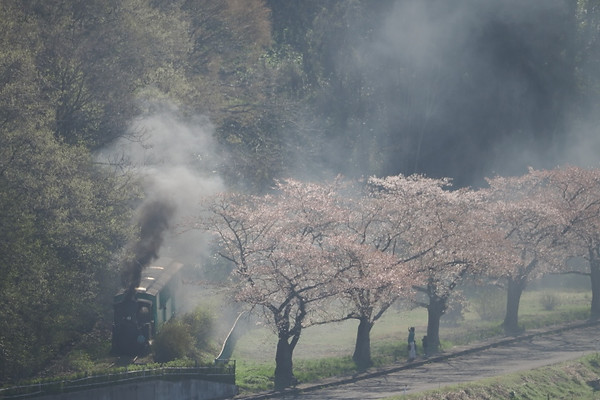 やながわ希望の森公園
