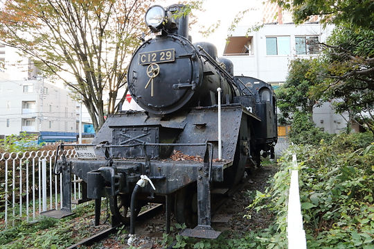 C12 29