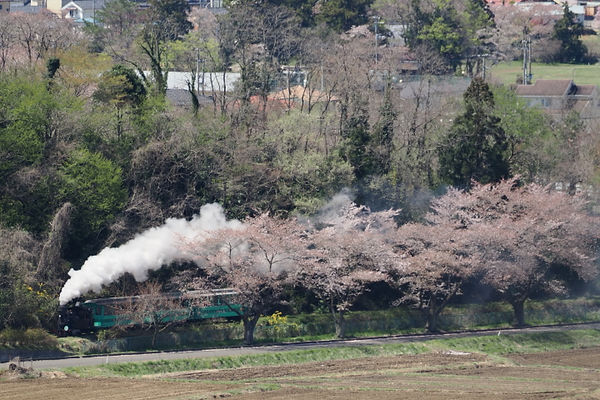 やながわ希望の森公園
