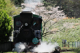 蒸気機関車「さくら1号」 | 日本にある蒸気機関車