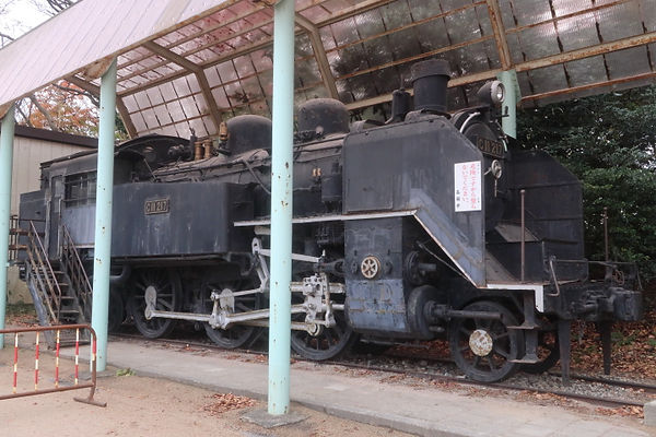 C11 217