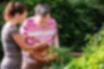webistockphoto1.jpg