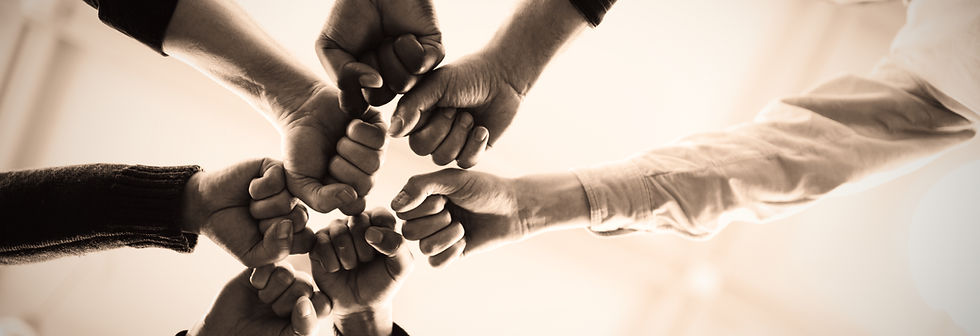 Alternative Energy Company_edited.jpg