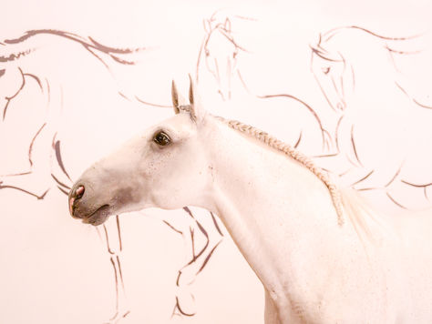 Art & Lusitanos