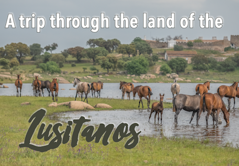 A trip through the land of the Lusitanos