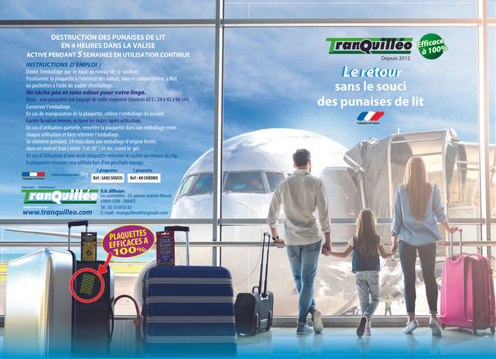 destruction des punaises de lit