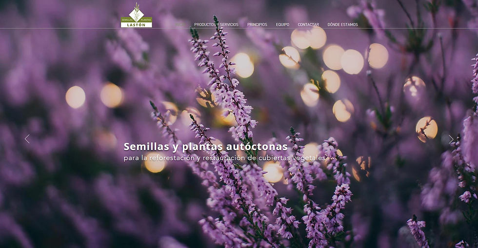 Web Semillas y plantas Lastón